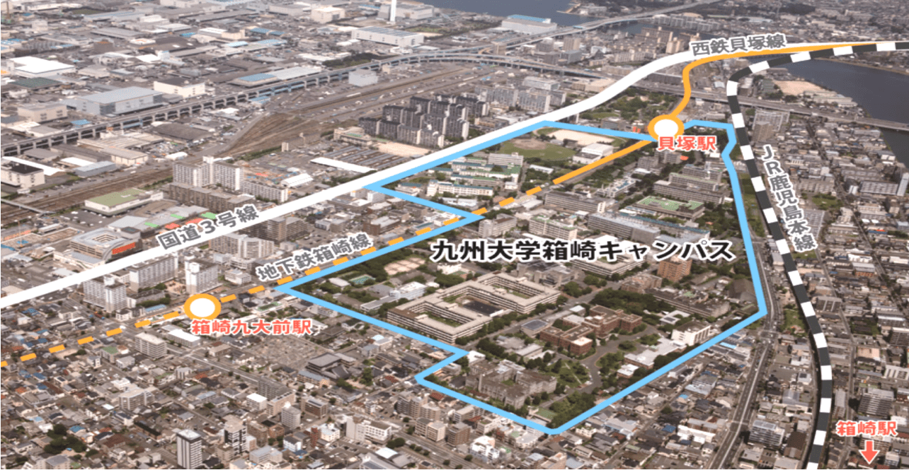 九大箱崎キャンパス跡地開発（ペイペイドーム7個分に及びぶ約50haの敷地の開発事業）