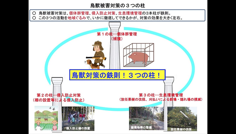 県議会議員時代から取り組んできた鳥獣対策を更に推進